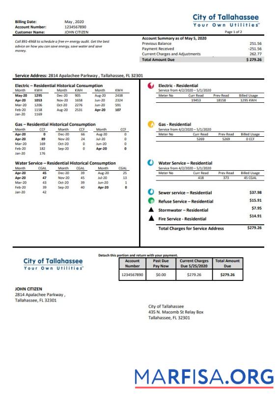 Realistic USA Florida City of Tallahassee Florida Your Own Utilities bill template in Word and PDF format